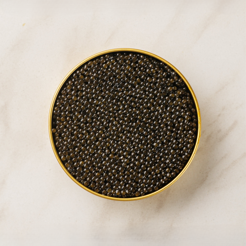 Caviar Royal Sibérien Attilus